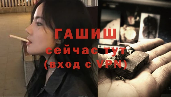 сатива Армянск
