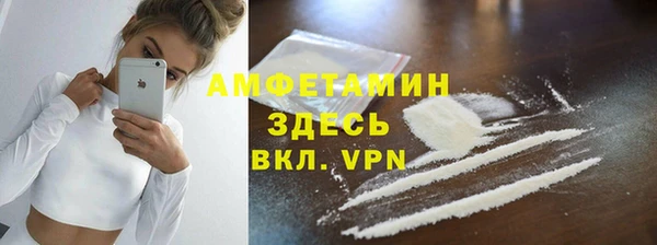 твердый Арсеньев