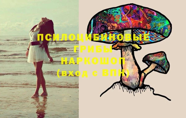 ПСИЛОЦИБИНОВЫЕ ГРИБЫ Алзамай