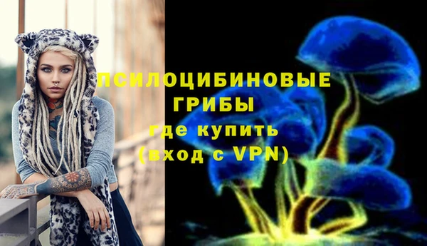ПСИЛОЦИБИНОВЫЕ ГРИБЫ Алзамай