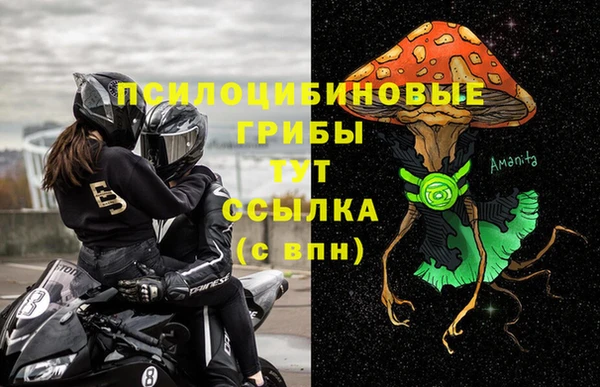 PSILOCYBIN Алексеевка