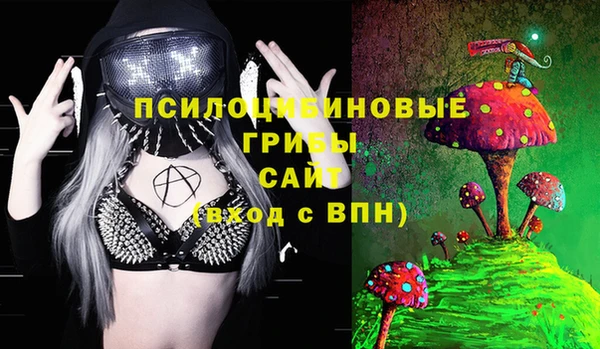 PSILOCYBIN Алексеевка
